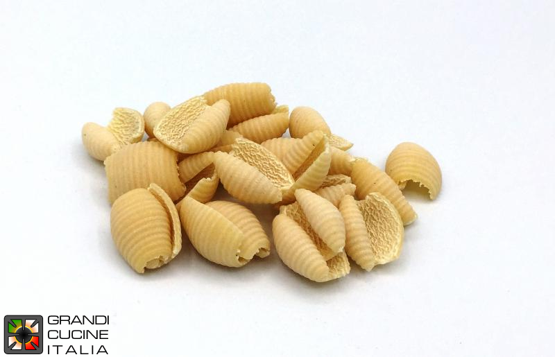  Brass-bronze alloy die for gnocchi for MPF25CN extruder